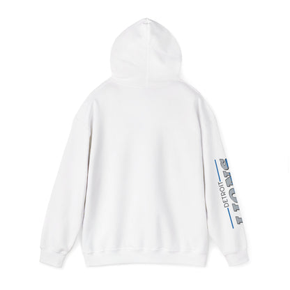 Detroit Lions Hoodie - Unisex Heavy Blend™