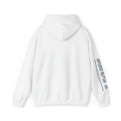 Detroit Lions Hoodie - Unisex Heavy Blend™