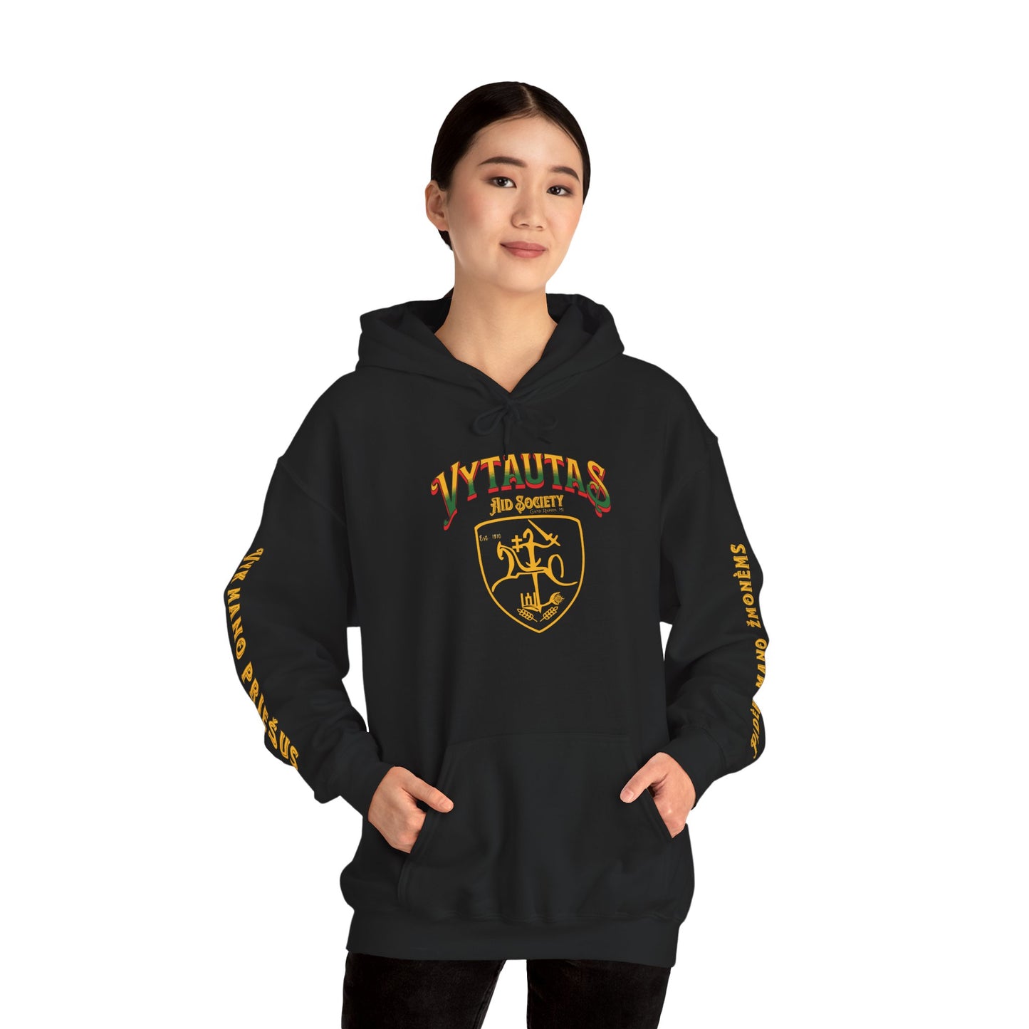 Vytautas Hoodie — Baltic Knight Crest 2 Hooded Sweatshirt