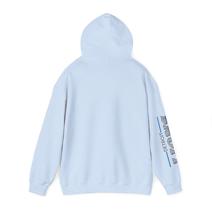 Detroit Lions Hoodie - Unisex Heavy Blend™