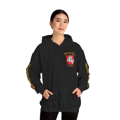 Vytautas Hoodie — Baltic Knight Crest Hooded Sweatshirt