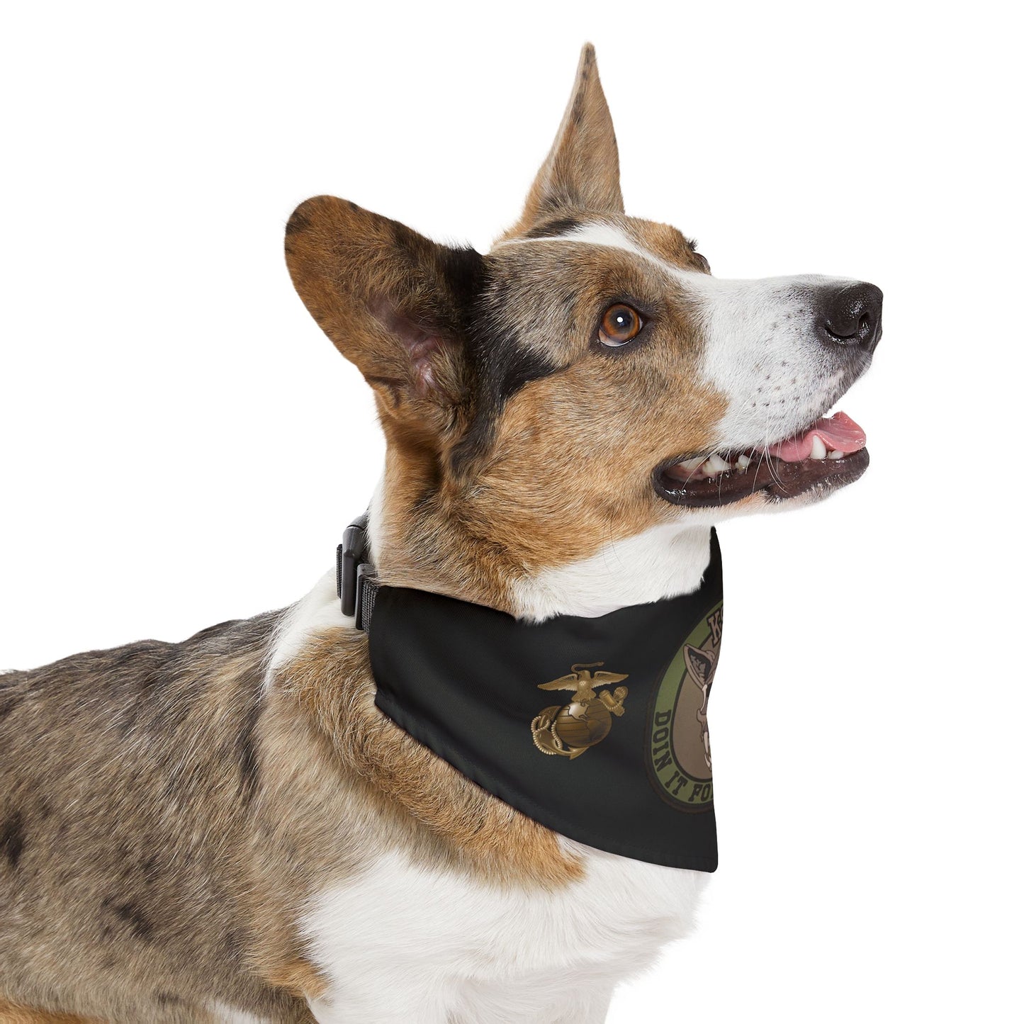K9 Warrior Pet Bandana Collar fur babies- Stylish Military-Inspired Dog Accessory