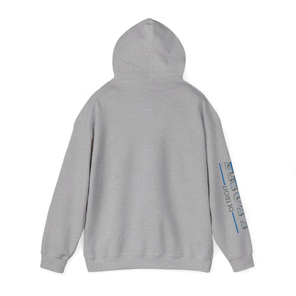Detroit Lions Hoodie - Unisex Heavy Blend™