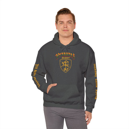 Vytautas Hoodie — Baltic Knight Crest 2 Hooded Sweatshirt